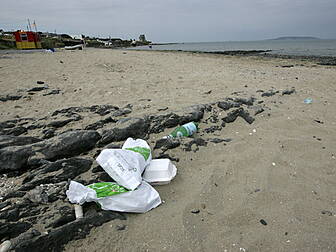 Survey Reveals Popular Beaches...